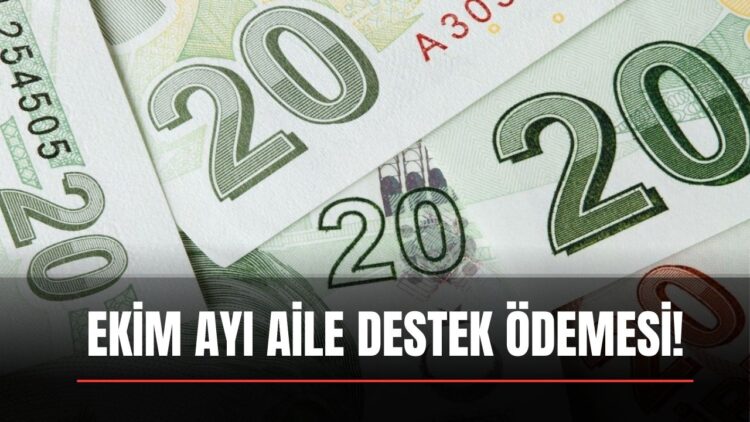 Aile Destek Ödemesi Alanlara Ekim Ayında 875 Lira Ek Ödeme! e-Devlet’ten TC Kimlik No ile Kontrol Edin