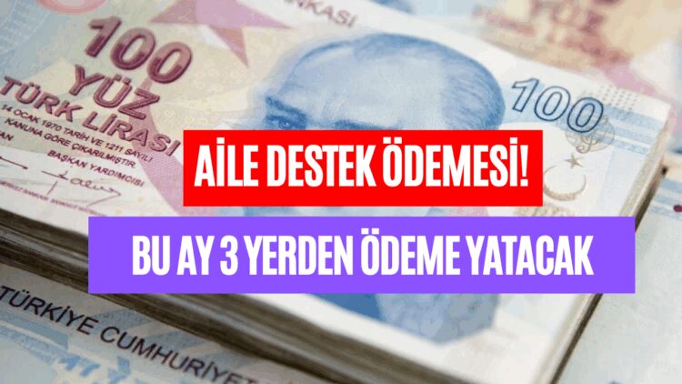Aile Destek Ödemesi’ne İki Sosyal Yardım Parası Eklendi! Ekim Ayında Üç Farklı Yerden Para Yatacak!