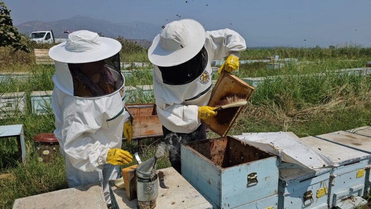 Arıcılık Mesleği İle İlgili Kadınlara Eğitim Verildi