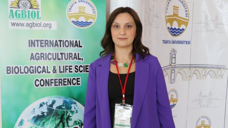 Ayçiçeği Sapları Gıda Ambalajında Kullanılacak