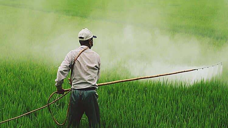 Başarılı İlaçlama İçin Soğuk Havalar Tercih Edilmemeli