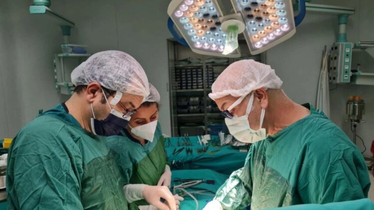 Beyin Ölümü Gerçekleşen Bir Kişi 6 Kişiye Hayat Olacak