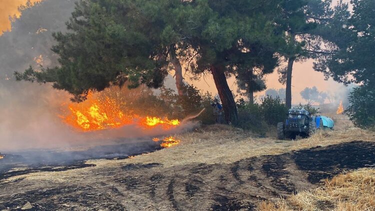 Bir Yangın da Geçilmez Şehrimizde! Ciğerlerimiz Alev Alev Yanıyor
