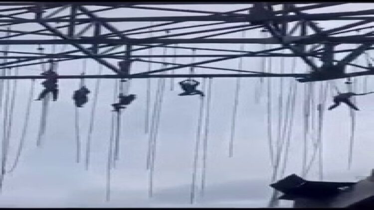 Brezilya’da Korku Dolu Anlar! 150 Metrede Asılı Kaldılar