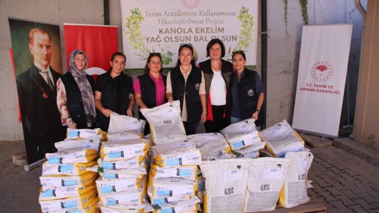 Çan İlçesinde Üreticilere Yüzde 75 Hibeli Kanola Tohumları Dağıtıldı