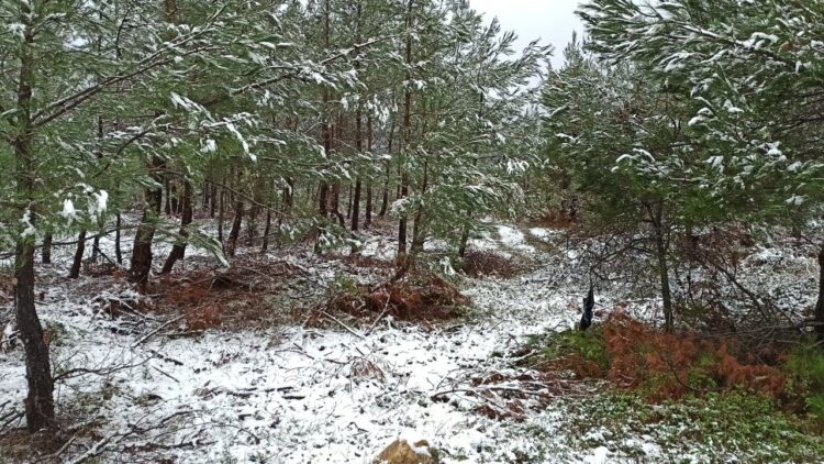 Çanakkale Yüksek Kesimlerinde Kar Yağışı Başladı