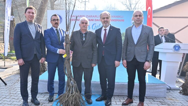 Çiftçilere Kestane Fidanı Desteği