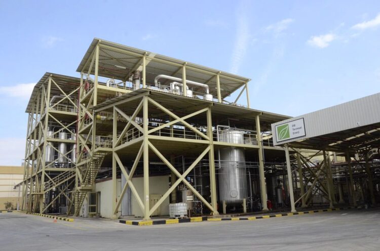 DB Tarımsal Enerji Açıkladı: Birleşmiş Milletler Küresel İlkeler…