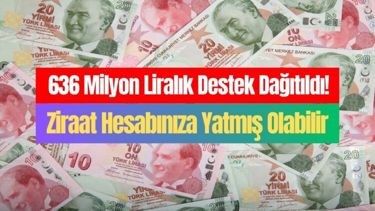 Dün Saat 18’de Tüm Hak Sahiplerine Para Yattı! TC No’su 2-4-6-8-0 ile Bitenler Ziraat Hesaplarını Kontrol Etsin