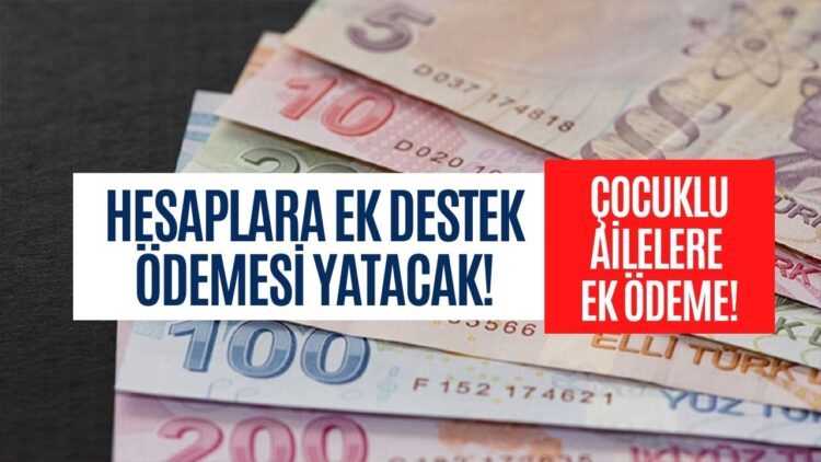 e-Devlet’ten Kontrol Edin Bu Destek Herkese Veriliyor! Bakanlık Bu Ay 875 Lira Destek Parası Yatırcak!
