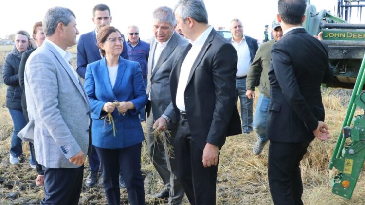 Edirne Valisi Yunus Sezer İpsala’da Çeltik Hasadına Katıldı