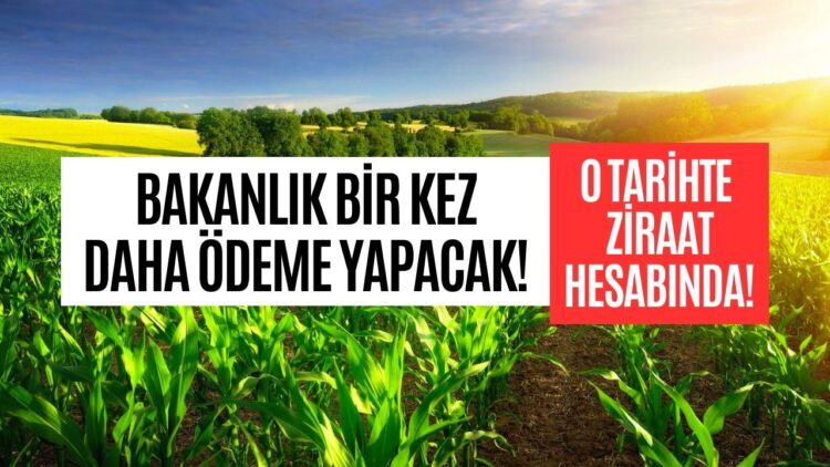 Ekim Ayı Dördüncü Tarımsal Destek Ödemesi Tarihi! Tarım Bakanlığı Ödeme Yapacak