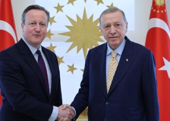 Cumhurbaşkanı Erdoğan İngiltere Dışişleri Bakanı Cameron’ı Kabul Etti