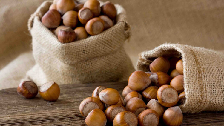 Fındık Fiyatları 8 Ekim 2023! Pazar Günlük Fındık Fiyatı Ne Kadar?