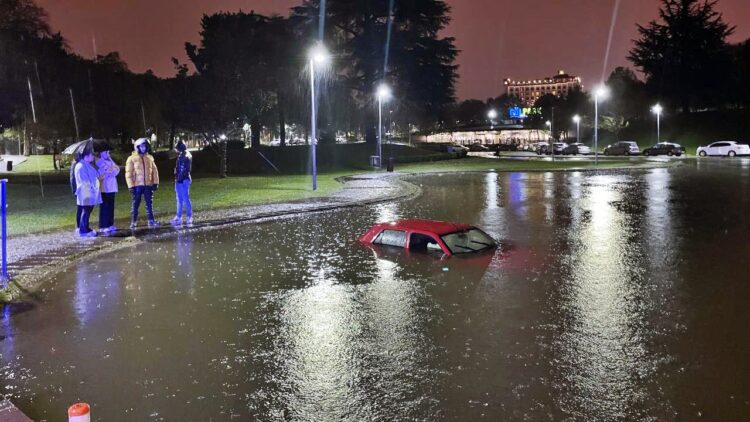 Geri Manevra Yapan Araba Havuza Düştü