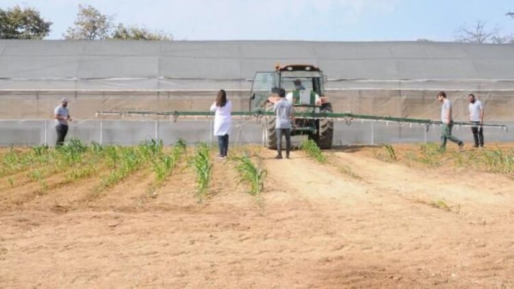 GTÜ Yerli Teknolojiler Ve Yapay Zekayla Organik Endüstriyel Kenevir Yetiştirme Projesi