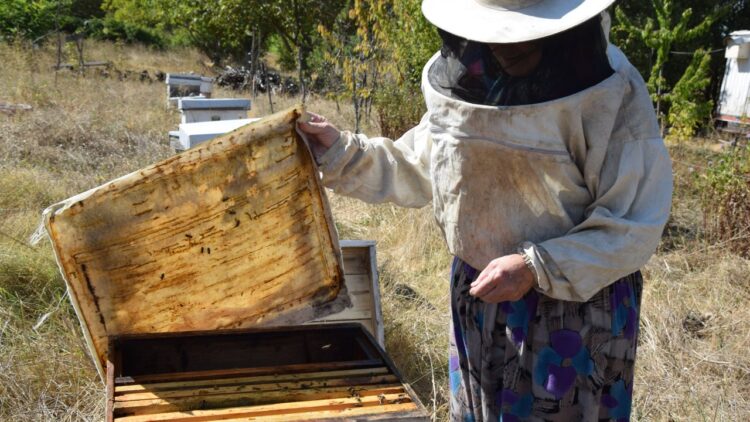 Kandilli Köyü’nde Arıcılık Yapan Kadın Genç Girişimcilere Örnek Oluyor