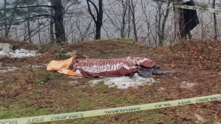 Kestiği Ağacın Altında Kalarak Öldü