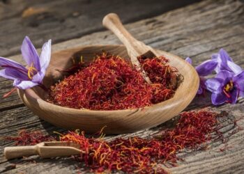 AB Coğrafi İşaret Tescilli Safranbolu Safranı Markalaşıyor