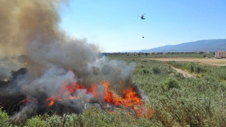 Sazlık ve Moloz Alanında Çıkan Yangın Kontrol Altına Alındı