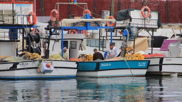 Tekirdağlı Balıkçılar Poyraz Engeliyle Denizden Uzak