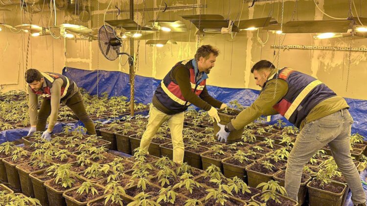 Tekstil Atölyesinde Hint Keneviri Yetiştiren Şahıslar Yakalandı