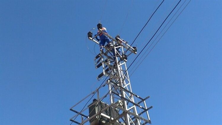 Toroslar EDAŞ Kuş Çarpılmalarına Karşı Başarılı Çalışma Yürütüyor