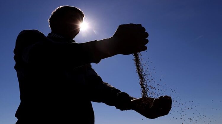 Türk Tohumculuk Sektörü İlk Kez Dış Ticaret Fazlası Verdi