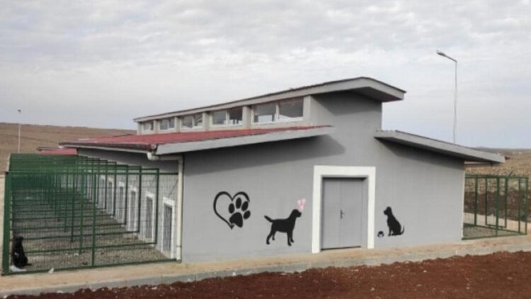 Vize’de Hayvan Dostları İçin Yeni Merkez İnşaatı Hızla İlerliyor