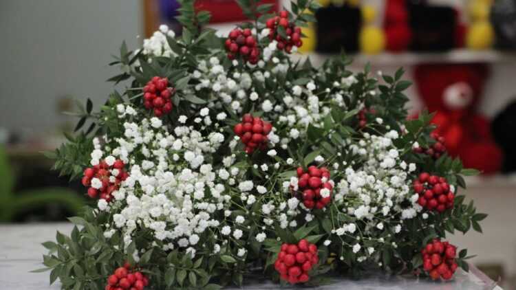 Yeni Yıl Öncesi Kokina Çiçeğine İlgi Arttı