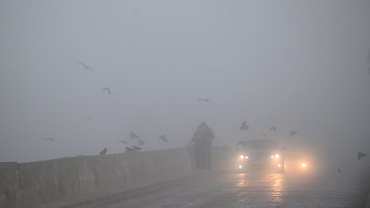 Yoğun Sis Edirne’yi Etkisi Altına Aldı