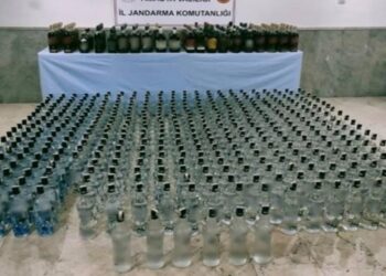 33 Şişe Gümrük Kaçağı İçki Ele Geçirildi