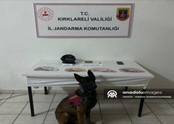 Kırklareli’nde Kaçak İçki Ve Uyuşturucu Operasyonunda 6 Şüpheli Yakalandı