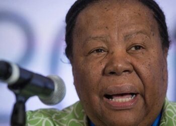 Güney Afrikalı Bakan Pandor İsrail İstihbaratının Kendisini Tehdit Ettiğini Söyledi