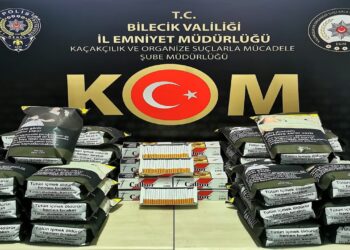 Bilecik’te Kaçakçılık Operasyonunda 1 Kişi Hakkında İşlem Yapıldı