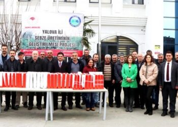 Yalovalı Çiftçilere 300 Kilogram Çalı Fasulye Tohumu Dağıtıldı