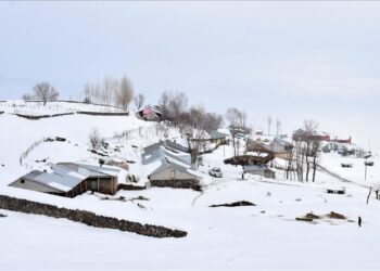 Muş İlinin Bazı Köylerde Tek Katlı Evler ve Ahırlar Karla Kaplandı