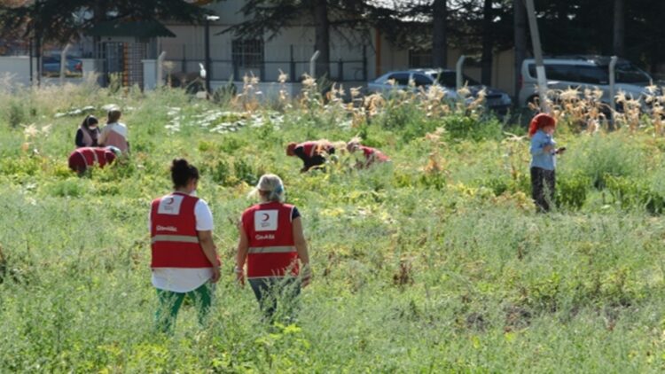 Yükümlü Kadınlar Aldıkları Mesleki Eğitimin Ardından İş Sahibi Olacak