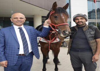 Körfez’de Bir Vatandaş, Belediye Başkanı Söğüt’e Hayırlı Olsun Ziyaretine Atla Gitti