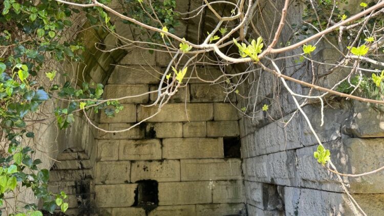 Amasra’da İzinsiz Kazı Yapan 6 Kişi Suçüstü Yakalandı