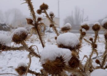 Kars Nisan Ayında Karlar Altında Kaldı