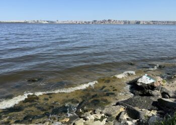 Küçükçekmece Gölü’nün Kıyı Kesimlerinde Suyun Rengi Değişti