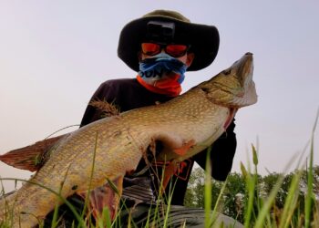 Kırklareli’nde Amatör Balıkçı 1 Metre Uzunluğunda Turna Balığı Tuttu