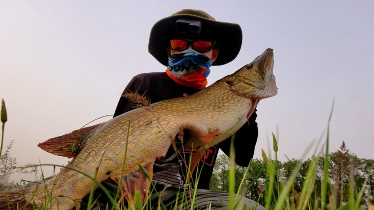 Kırklareli’nde Amatör Balıkçı 1 Metre Uzunluğunda Turna Balığı Tuttu