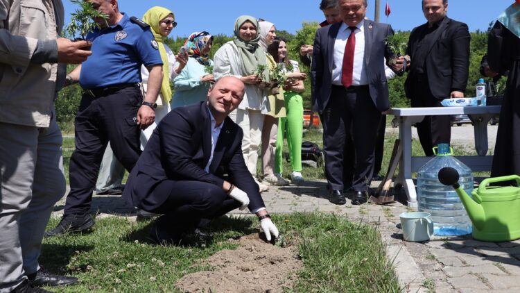 Dünya Tütünsüz Günü Destekleme Amacıyla Ferizli’de Çiçek Dikildi