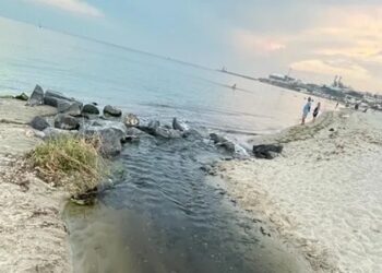 Tekirdağ Belediyesine Ait Araçlarla İlgili İnceleme Başladı