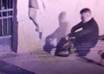 Birçok Kedinin Ölümünden Sorumlu Tutulan Fatih Mehmet Öztürk Hakkında Hapis Kararı