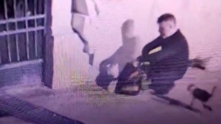 Birçok Kedinin Ölümünden Sorumlu Tutulan Fatih Mehmet Öztürk Hakkında Hapis Kararı