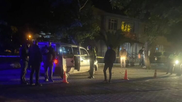 Ağaca Çarpan Hafif Ticari Aracın Sürücüsü Hayatını Kaybetti