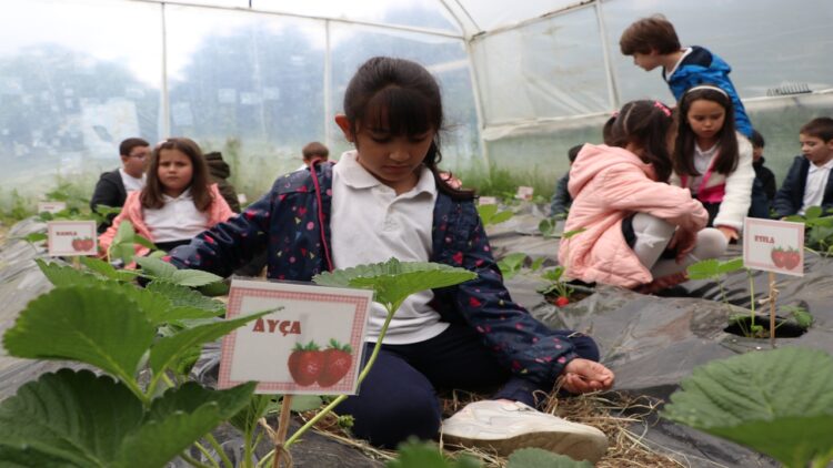 Tekirdağ’da Okul Bahçesinde Sürdürülebilirlik Eğitimi